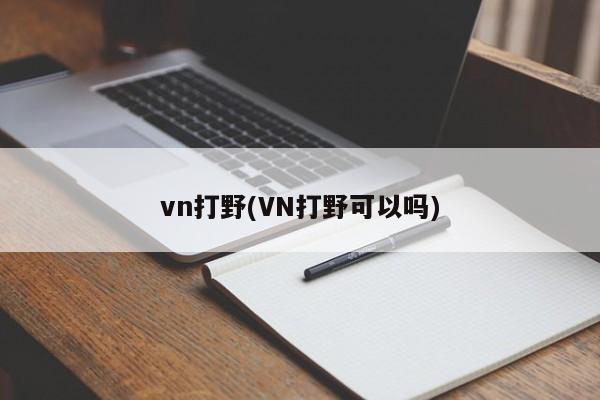 vn打野(VN打野可以吗)