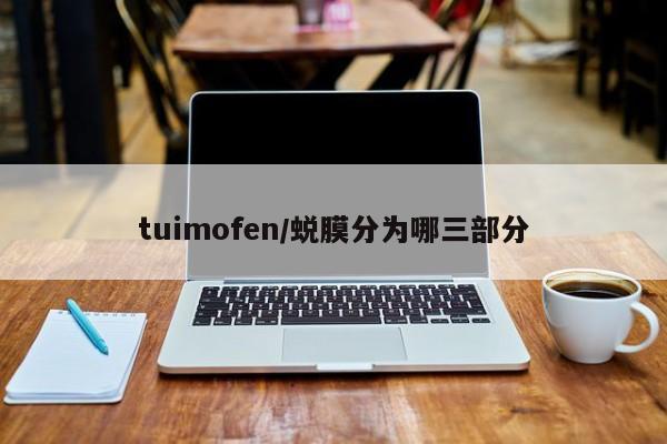 tuimofen/蜕膜分为哪三部分