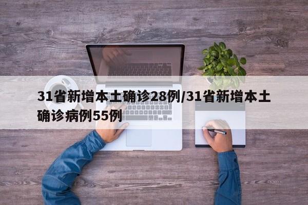 31省新增本土确诊28例/31省新增本土确诊病例55例