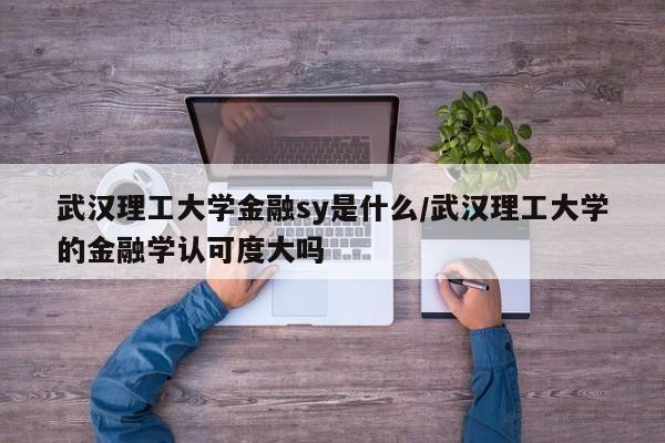 武汉理工大学金融sy是什么/武汉理工大学的金融学认可度大吗