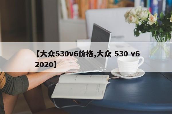 【大众530v6价格,大众 530 v6 2020】